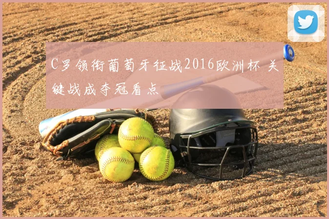 C罗领衔葡萄牙征战2016欧洲杯 关键战成夺冠看点