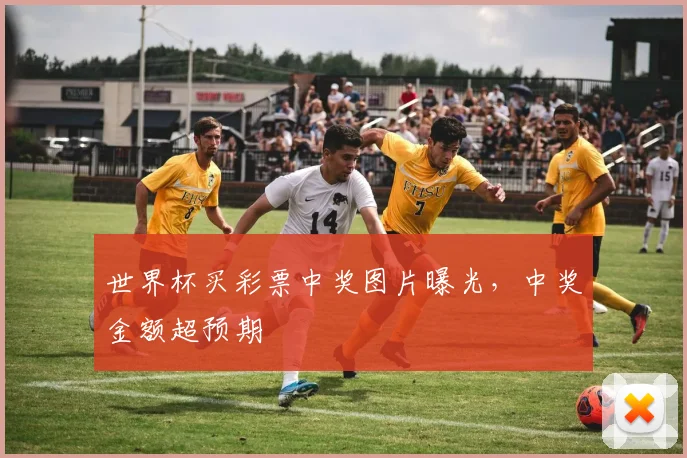 世界杯买彩票中奖图片曝光，中奖金额超预期