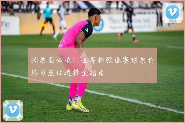 抢票前必读:世界杯预选赛球票价格与座位选择全指南